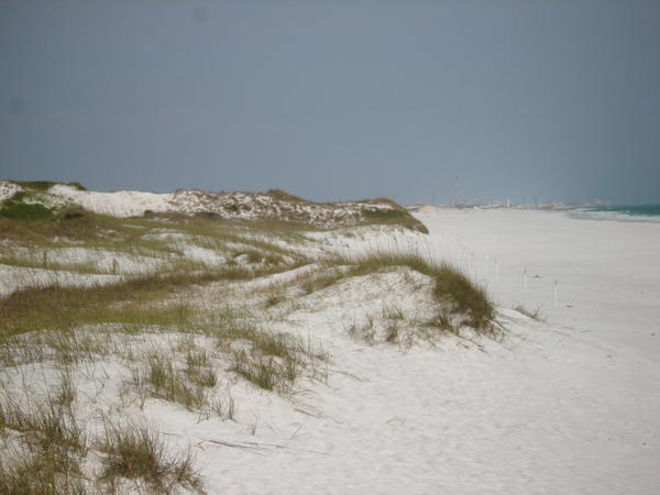 Dunes at Beasley Beach