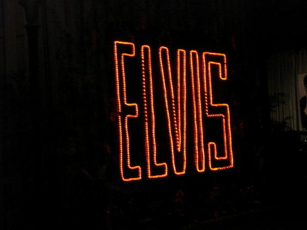 Elivis in Neon