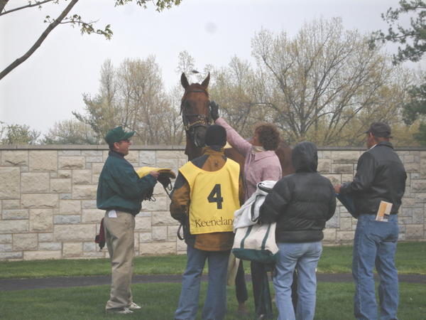 Funny Cide and Robin, Keenland Paddock