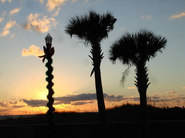 Pass-A-Grille Palms and Holiday Decorations at Sunset 