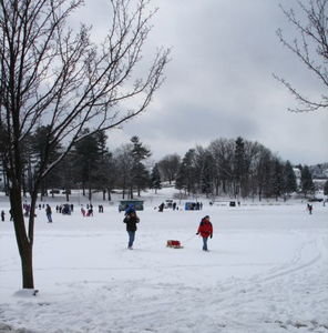 Currier & Ives Scene - Central Park, Schenectady in Winter