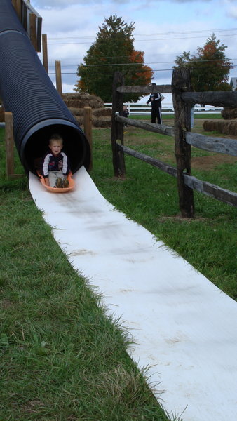 The Slide at the Corn Maze, Schuylerville