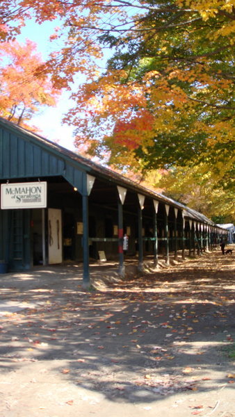 Fall at Saratoga Race Course