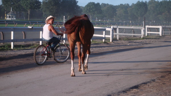 Man on a Bike Leading Horse
