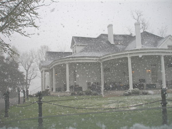 Thoroughbred Club in the Snow