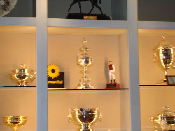 Bernadini Trophy at Darley