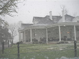 Thoroughbred Club in the Snow