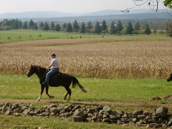 Bridel Path - Gettysburg