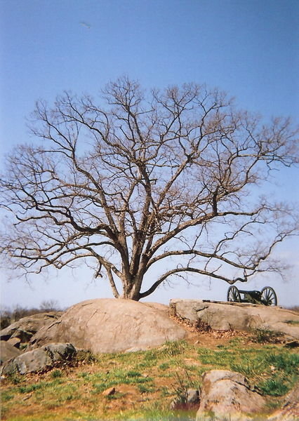 Gettysburg Scene
