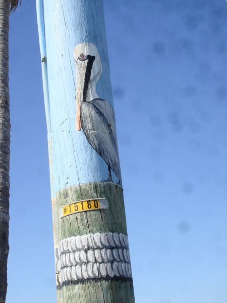 Pelican Pole