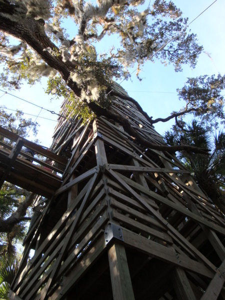 Myakka Canopy Tower
