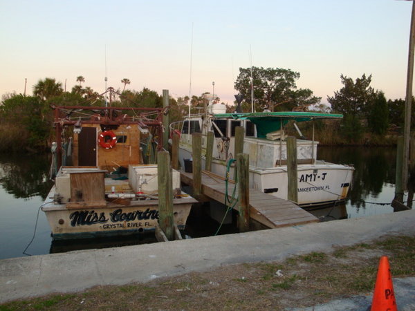 Shrimp Boats, Shrimp Landing