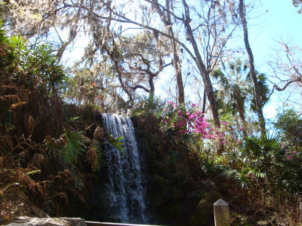 Rainbow Springs - Typical Early Spring
