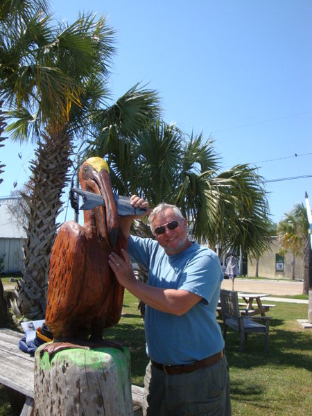 Wes and the Pelican