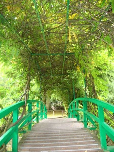 Monet's Green Bridge With Wisteria