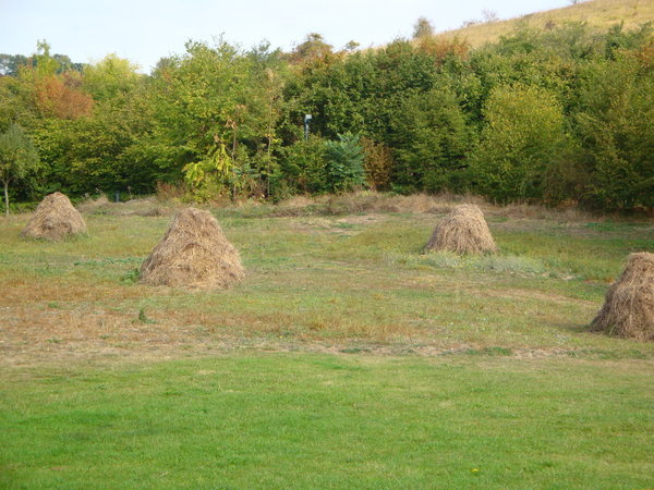 Haystacks