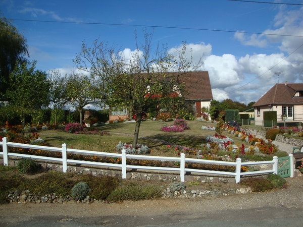 Landscape With Annuals