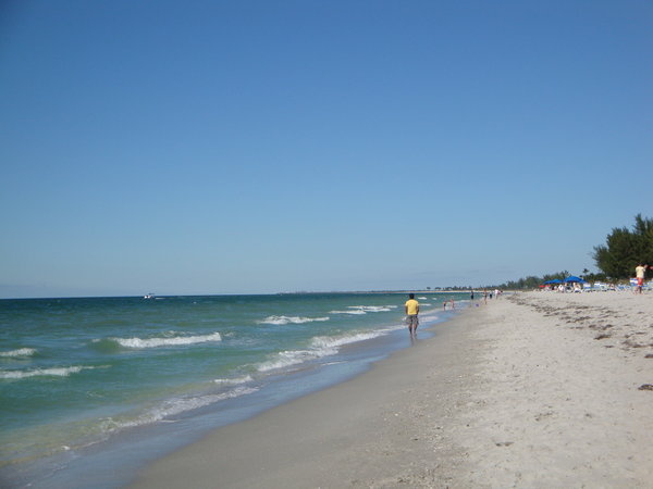 Looking North along the Gulf of Mexico