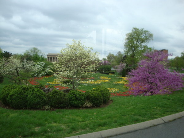 Flowers in Centennial Park