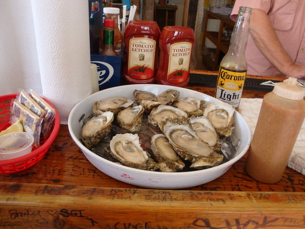 Oysters at Eddie Teach's Raw Bar