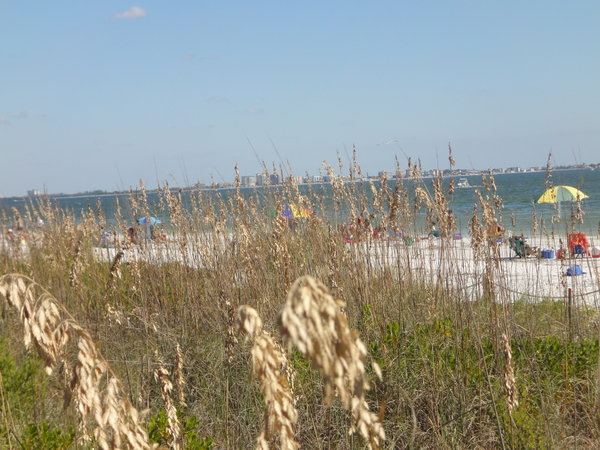 Sea Grass, Beach, Gulf, & Fort Myers Beach