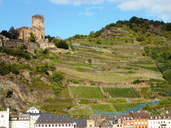 Castles and Vineyards