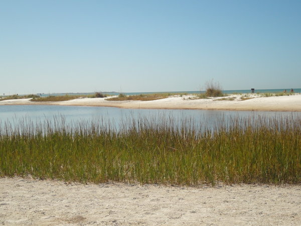 Dunes and Back Water Fort De Soto