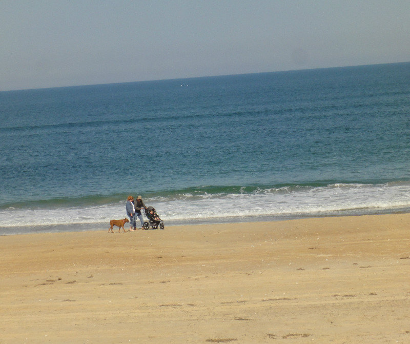 Dogs Are Allowed on OBX Beaches