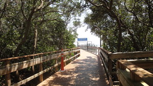 The Boardwalk From Honeymoon Beach to Caladisi Ferry