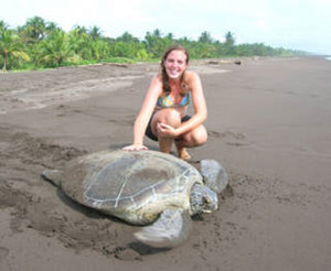 Web Photos: Tortuguero Beach (Playa Tortuguero) Green Sea Turtle