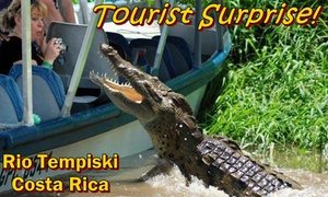 Costa Rica crocodile gets up close & personal with tourist.