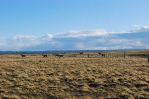 weite Landschaft von Tierra del Fuego