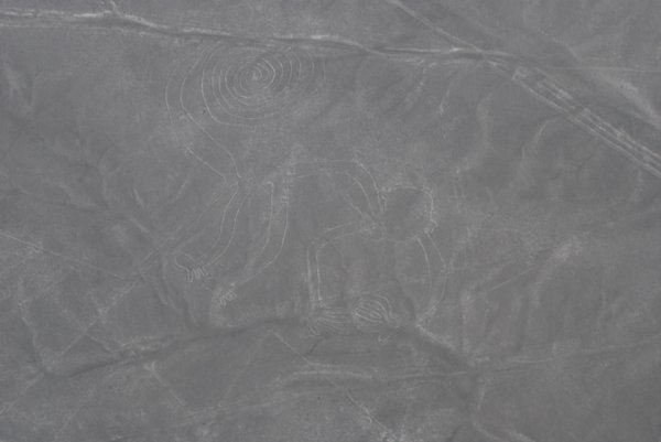 Nazca Linien - Affe