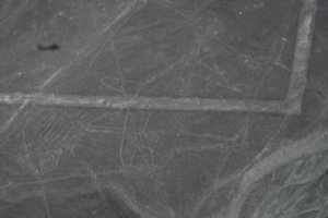 Nazca Linien - Walfisch