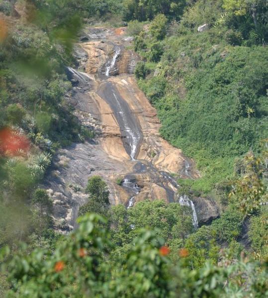 Ooty -- Nigiri Hills
