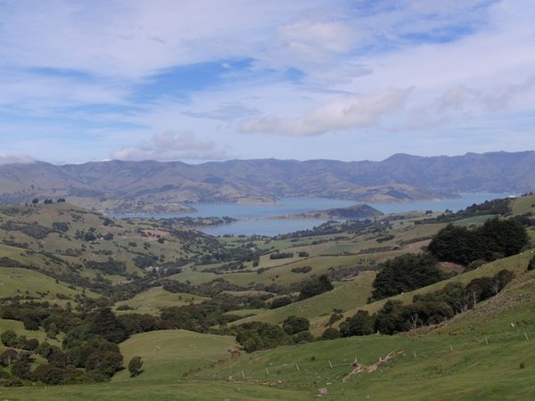 The view from the top of the hill looking down onto Akaroa