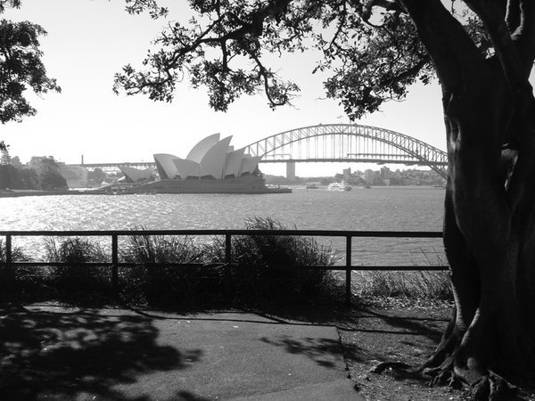 View from Mrs. Macquarie’s Chair