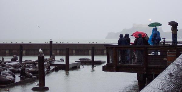 Rainy Fisherman's Wharf