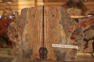 Petrified Wood Face