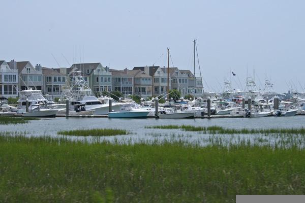 Charleston Marina