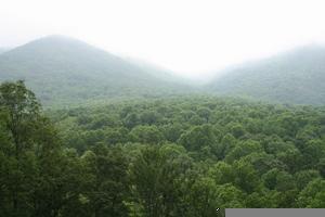 Great Smoky Mountains