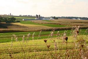 Ohio Amish Country