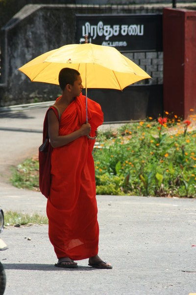 Monk taking shelter from the sun