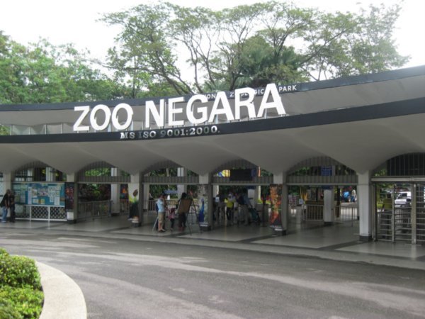 The Zoo!!!