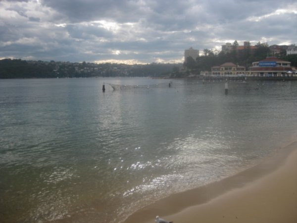 Manly Island