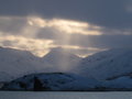 Captain's Bay, Unalaska