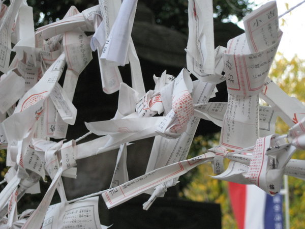 Omikuji fortunes, the bad ones, tied up and left at the temple