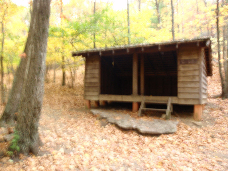 Cow Camp Gap shelter