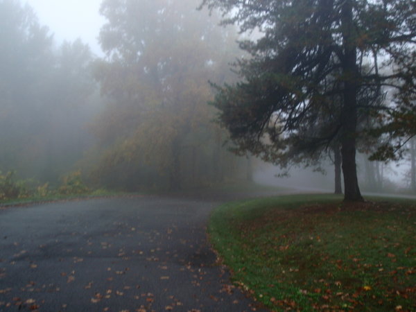 Beautiful fog on the Blue Ridge Parkway