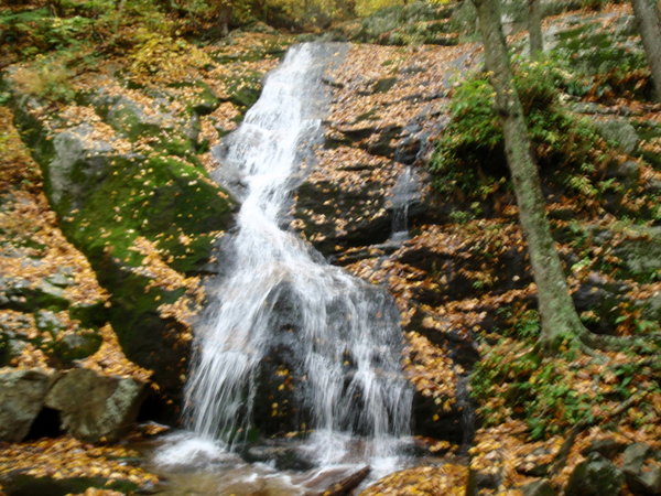 Lower Crabtree Falls